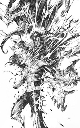 🚨🕸AMAZING SPIDERMAN #1 KAEL NGU VARIANT B&W SKETCH FAN EXPO Megacon 🔥 2022