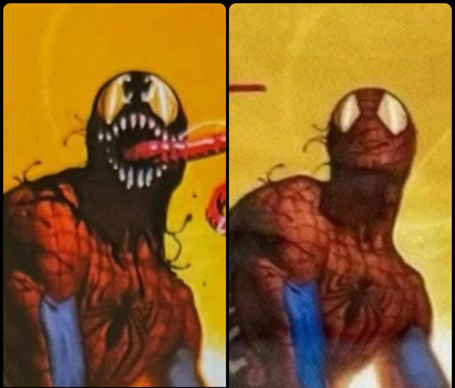 AMAZING SPIDER-MAN 23 CGC 9.8 SS 🔥 SIGNED E. M. GIST + VENOM REMARQUE VIRGIN