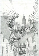 Batman, Incentive, 1:250,Jim Lee,Sketch Card, Virgin Variant, Virgin